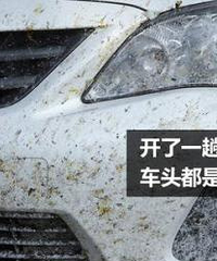 ������٣��ҵĳ����Ͼ�Ȼ����ô����ĵĳ��ӣ���ô�죿