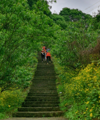 һСʱ�͵���¶Ӫ�տ��أ�ɳ������ĺóԣ���ɫ����ʺϷ���