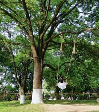 �ܿ���Ⱥ�����ȥ��9���ط�ȫ���ǵ���������������پ�����