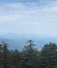 ˵߾ȥü500һľƵλñȽ𶥾Ƶ껹ãճ