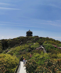 ���ɽ��ɽ�Ķž鶼����