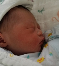 ˳תʣΪʸɣû뵽ʹһ