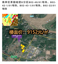 广阳岛桥头地价都10000多起拍了,广阳湾这是要起飞的前兆?