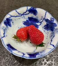 第一次在阳台种草莓收获还不错哟,白草莓又香又甜,红草莓带酸味