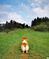 Źˣ¡ŮɽƵ羰ȻŮɽֵÿ