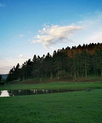 ŹˣŮɽƵ羰ȻŮɽֵÿ