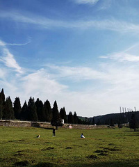 Źˣ¡ŮɽƵ羰ȻŮɽֵÿ