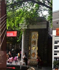 小升初民办学校摇号不要慌,还有这些不错的公立初中,各个区都有