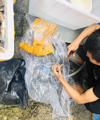 ���������������г����������ţ���ˣ���ǲ����ܵ�