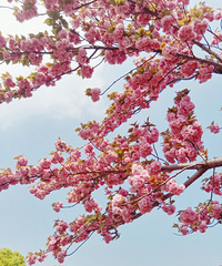 ��ôѡ�����ڵĹ������ʵ͵�������ޣ��¹������æ