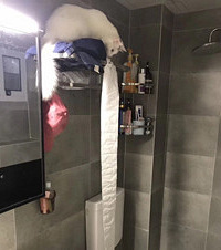 �Ҽ�è������ǧ������һ�춼���ң�����ȴ��׼�Ҵ���...