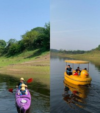 疯狂打Call太极岛,100多的宾馆带免费皮划艇,有超多猴子