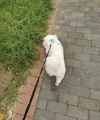 ������ڵĸ���ɽ���ʺ��޹�Ŷ�����١����졢�ܼ��ȸ�