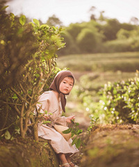 ����ȥ�˲�԰���������̫�ʺ�������