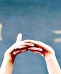 �²�һ��ҡ�ź���п���Ӱ�죬�и��е���ѧ�᲻׼��ǽֻΪ��ѧ��