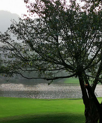 394ƽһ߸߶򳡵ƴͣ԰Ұ