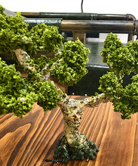 ��������ҵ���һ�仨����ô��Ը����һ�����ػ��������ߡ�