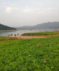 ľ���ĸ�ɣ��Ҫ����~���߳���