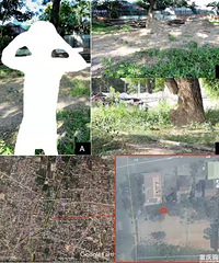 ȫΧͯ񱣡ȶͯж̫ȼ