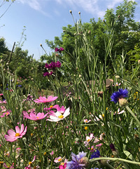 ĸ�׽ڴ�������ȥ���տ��������ϳ����ƻ��