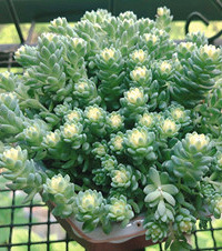 �����л�����̨������������ժ����Ϳ������ɳ�Ư����������