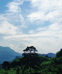 带着娃儿风吹岭露营,意外发现这座不太好爬的山,伸手就碰到云海