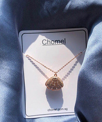 �ҵ�Chomel������������Ҳ̫���˰ɣ�