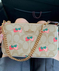 Coachޢ�۲�ݮmajiang�������������㳬�ʺ�����