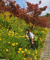 80��160CM��С������飬ϣ���Է�����170����