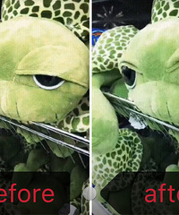 ˫Ƥ¡ĸҪΪʲôֻѡһĻ