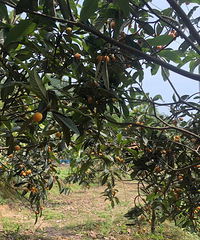 ժóԵˣ39Ԫ2һ´3