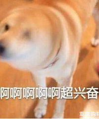 上海幼升小摇号第一年,88%民办小学需要摇号,报录比与去年持