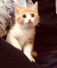 30������������ҽ�����飬��ضԷ������Ĺ���