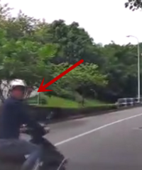 �λ������������ﳵ�����ң�����ˣ���˵��ŷ���