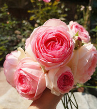 Ȼ¼ѾװûûȥסӰڻ԰﷢