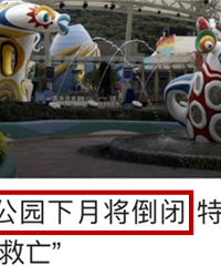 耗不起了!香港海洋公园下月倒闭,重庆室内动物园开始卖动物了?
