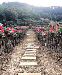 õ԰Ϊʲôôʵĸֵȥ