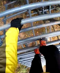 ��ɽ�ݡ����´塱�Ĵ����Ǩ��ȫ�����˶��ڿ�ֱ�����