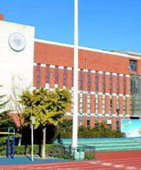 想带德籍宝宝宝宝回国上公立学校,不考虑国际学校,需要哪些手续