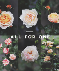 и70ƽС԰ס2꣬ڿʼʵл