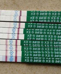 Ⱥǽ裬ݽšȷӣ3ҳɹϱ