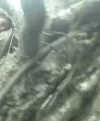 ɽݡ´塱ĴǨȫ˶ڿֱ