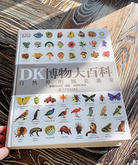 适合全家一起看的DK博物大百科