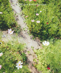 ���ڼ���������򡱣����߼����׾�����ӵ����ľ���ĸ�ɣ������