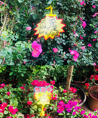 �Ҵ���50��������4�ұ��ػ��У���������5ëǮ·��ָ��