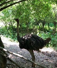 ԤԼɽˮгп˽԰֣ͯ