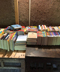 С����Ұ��˽��԰�֣�û���徲���޺�ȥ��