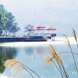 市区里的宝藏湖泊公园