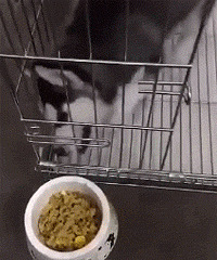 �о���ʿ������ĺܡ���������������������Ҫ����������