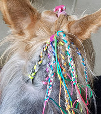 Ϊ�˸��Ҽ�С��ү��ף2�����գ������������ĵ��ⶼҪ��������